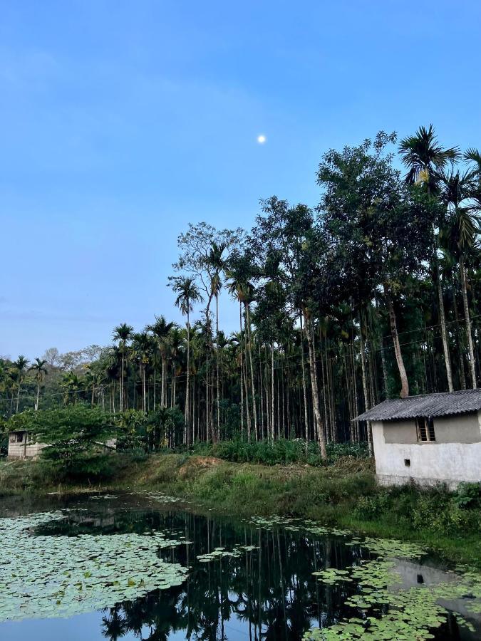 Green Castle Gonikoppal Bagian luar foto