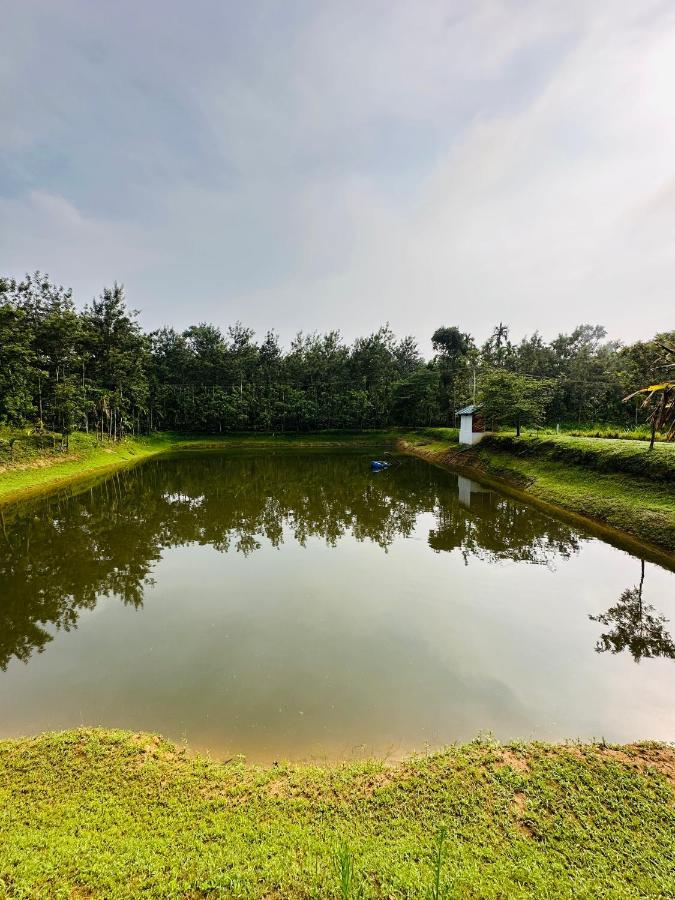 Green Castle Gonikoppal Bagian luar foto